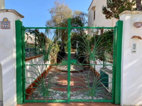 Il giardino del Falso Pepe